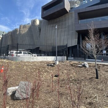 Cliff Energy Centre - April 2026